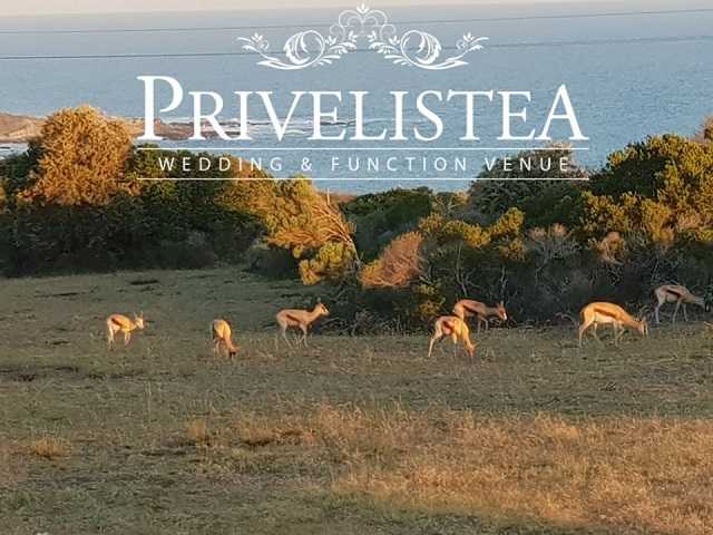 Privelistea Wedding Function venue Stilbaai